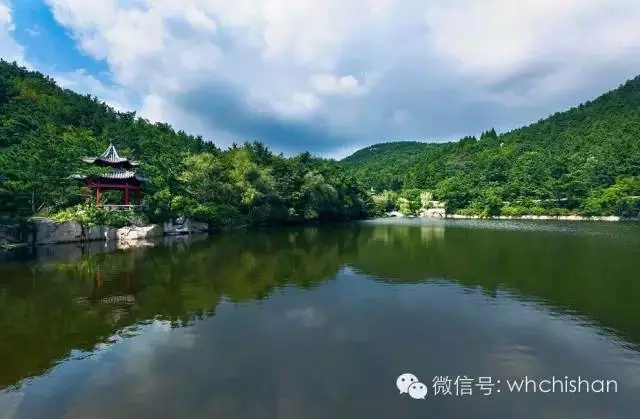 花期已過葉還未紅 去赤山賞云吧！