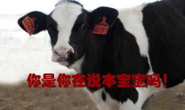 關我什么事！