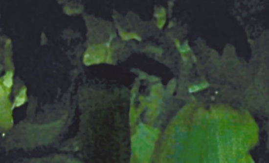房祖名去年被港媒直擊在中環(huán)夜店與長(zhǎng)發(fā)妞互動(dòng)曖昧，女生正是Nana