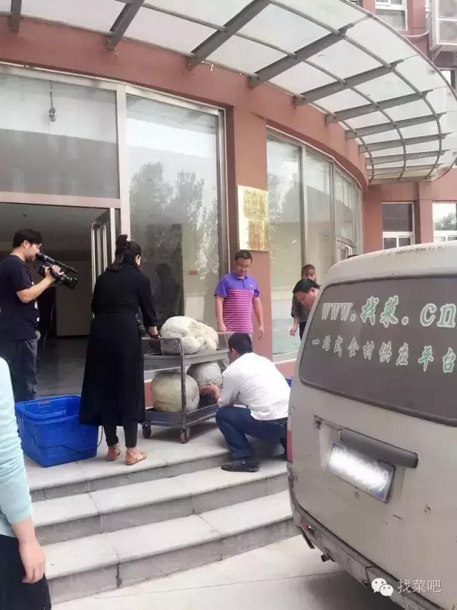 找菜網認購百萬斤冬瓜，解農戶燃眉之急