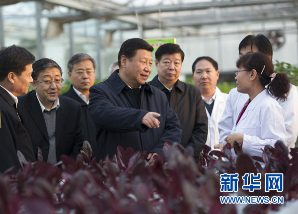  27日下午，習(xí)近平在山東省農(nóng)業(yè)科學(xué)院智能化溫室了解農(nóng)業(yè)科技創(chuàng)新情況。