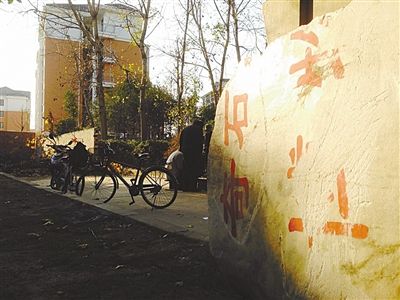 昨日，“上海奇石盆景博物館”原址上，已矗立起小區(qū)樓盤，而刻著博物館名的巨石，廢棄在一旁。本版圖片/新京報(bào)記者 張永生 攝