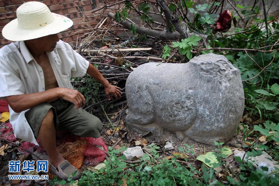 朝陽鎮(zhèn)后李村業(yè)余文保隊(duì)員，今年65歲的李連堂在上世紀(jì)平整土地時(shí)候，從地里挖出一個(gè)石羊殘身，至今仍放在