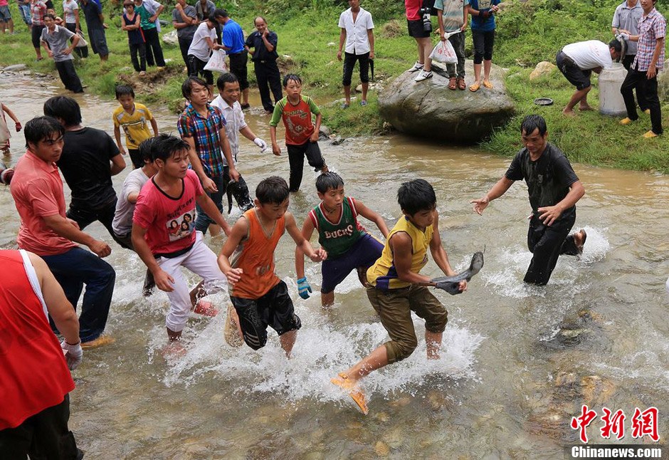 7月9日，村民在小河里摸魚(yú)搶魚(yú)。譚凱興 攝