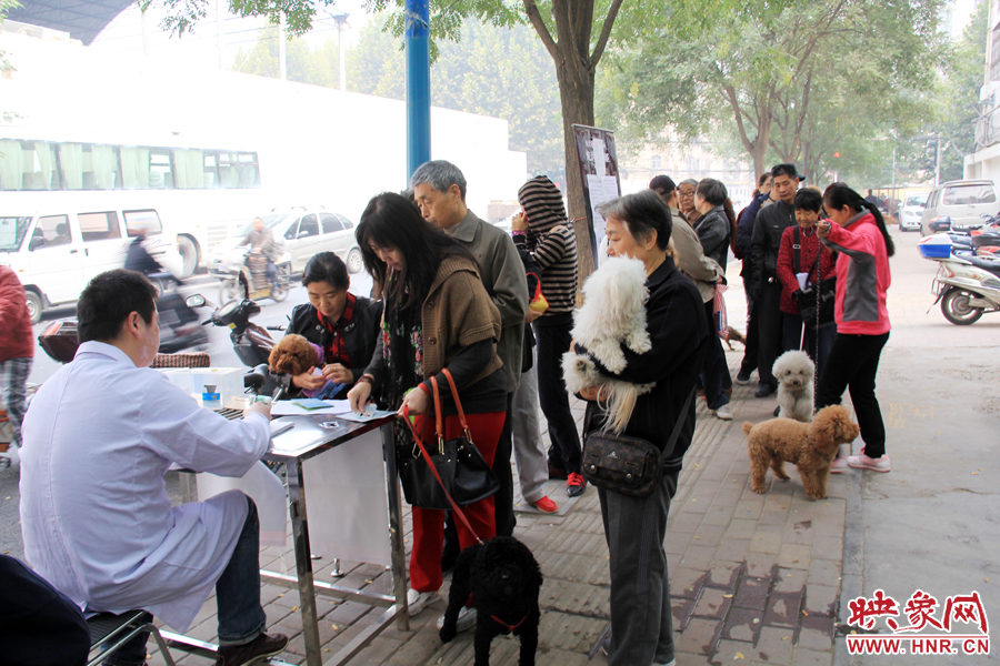 早上8點多，鄭州城市養(yǎng)犬金水區(qū)辦證點已經(jīng)排起了長隊
