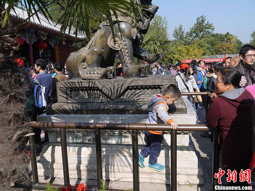 10月26日上午10點(diǎn)多，北京香山路賞紅客摩肩接踵