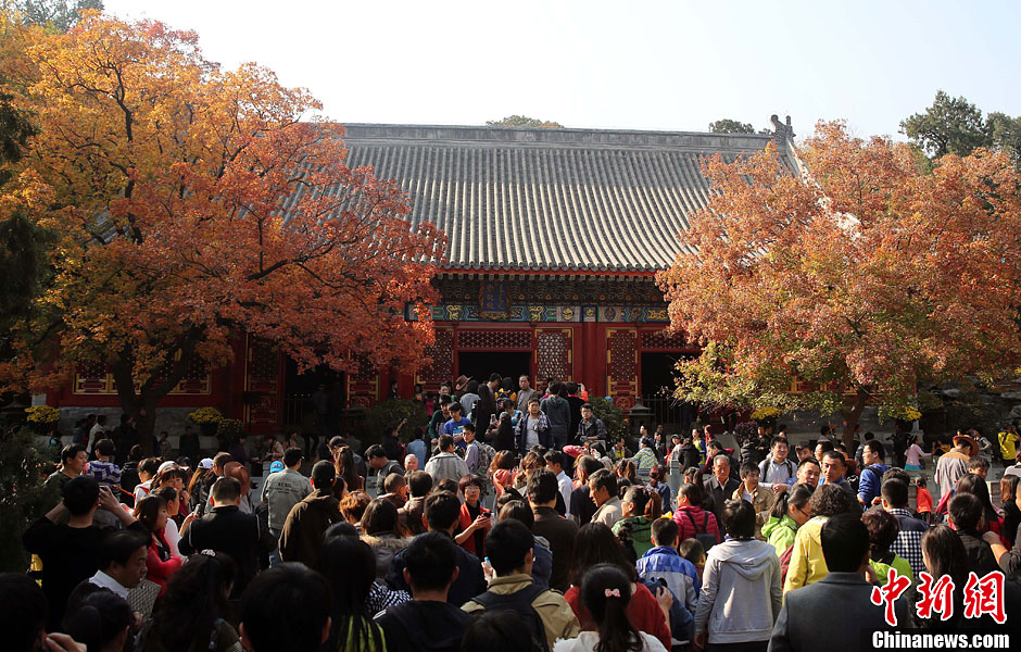 　10月26日，北京香山公園內(nèi)游客摩肩接踵。