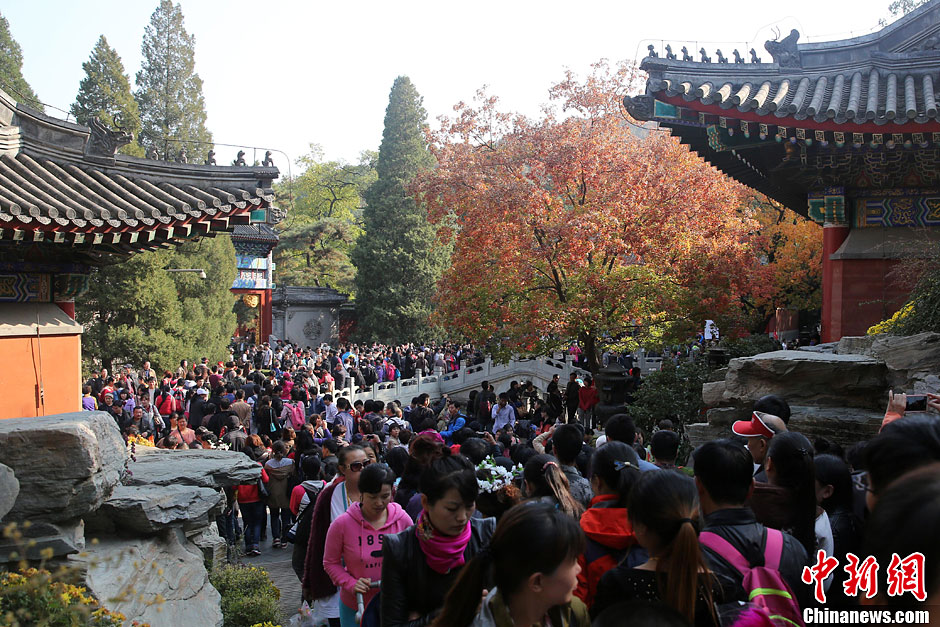 　10月26日，北京香山公園內(nèi)游客摩肩接踵。