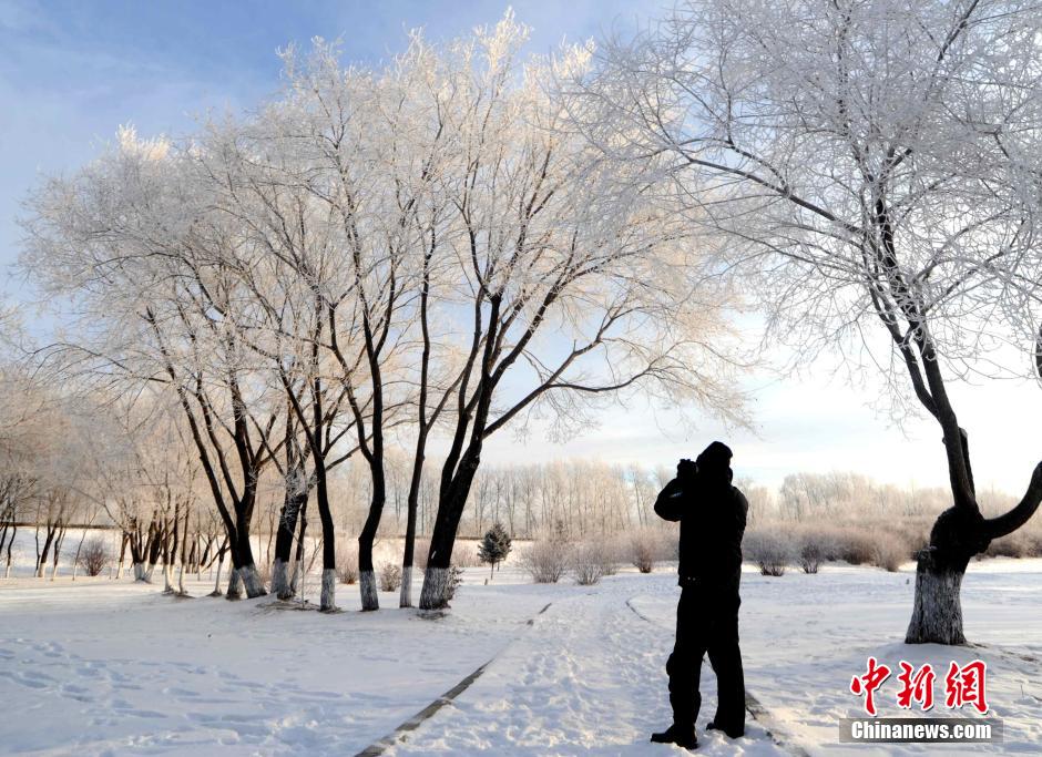 12月10日,受降溫天氣影響,黑河市黑龍江江畔出現(xiàn)綿延數(shù)公里的霧凇景觀。