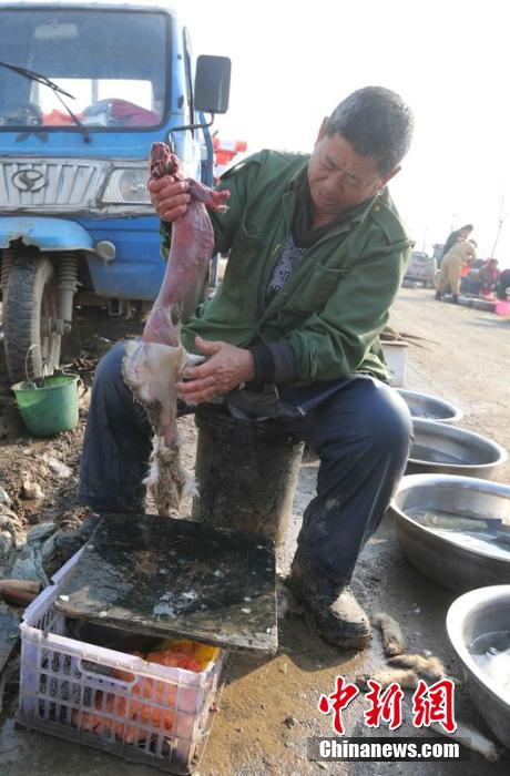 圖為12月1日，104國道靜海縣城附近，顧客挑好后，商販拎著死兔將皮完整地扒下來。田寶希 攝 圖片來