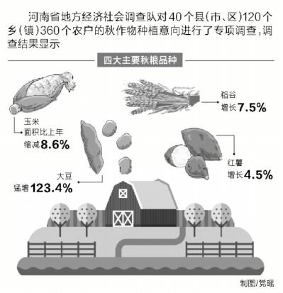 河南專項調(diào)查40個縣 四大秋糧種植結構發(fā)生變化