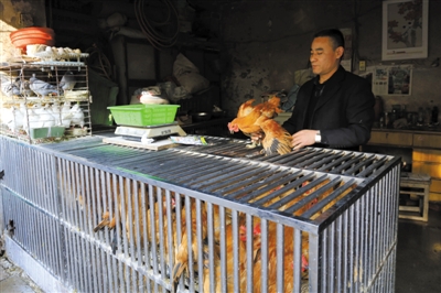 南京另一家農(nóng)貿(mào)市場內(nèi)待售的活雞。因南京出現(xiàn)H7N9禽流病例，買活雞的顧客減少。