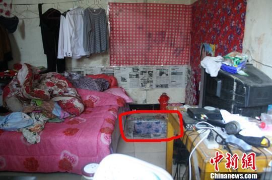 圖上紅圈內(nèi)為嫌犯所挖地窖入口。 吳佳蔚 攝