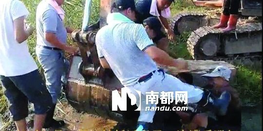 幾名戴黑帽的男子將一名老人推入水塘，后反復(fù)腳踹。