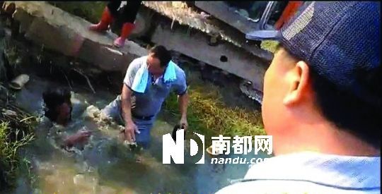 男子沒入水塘后試圖反抗，遭戴黑帽男子毆打。視頻截圖