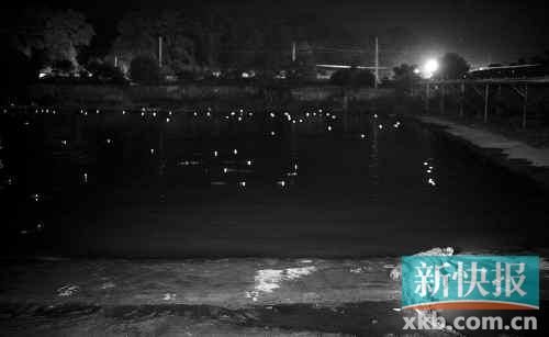 昨日，西湖村鱷魚養(yǎng)殖場已修復圍欄。