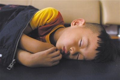 9月6日，等待錄制節(jié)目的多多躺在沙發(fā)上熟睡。新京報記者 侯少卿 攝