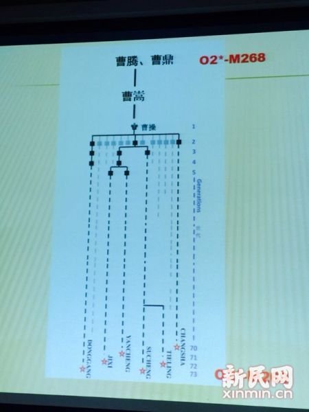 圖說：復旦課題組發(fā)布曹操家族DNA研究結果。新民網(wǎng) 記者 李欣 攝
