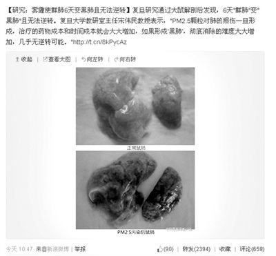 昨天，一則“霧霾使鮮肺6天變黑肺”的新聞在網(wǎng)上引發(fā)熱議。網(wǎng)絡(luò)截圖