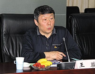 國家能源局新能源和可再生能源司司長王駿。