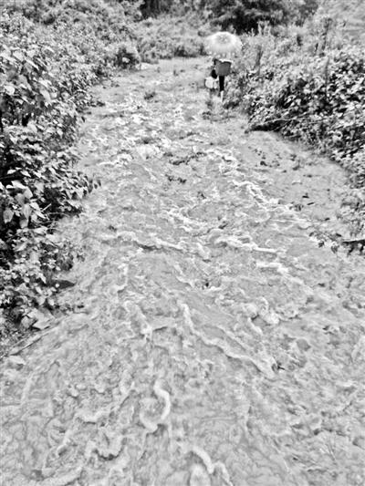 梅子回家的山道，晴天是路，雨天是河