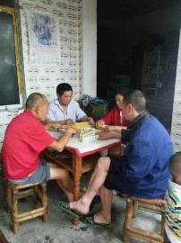 掃水掃不及，胥家鎮(zhèn)柏河村的居民干脆打起了麻將。