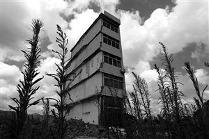 這幢5層的“片片樓”周圍已是一片拆遷后的廢墟，左邊的一堵墻上，不少鋼筋裸露在外面 圖片來源：新華網(wǎng)