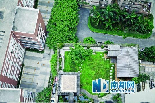 中旅商務(wù)大廈的“空中花園”。