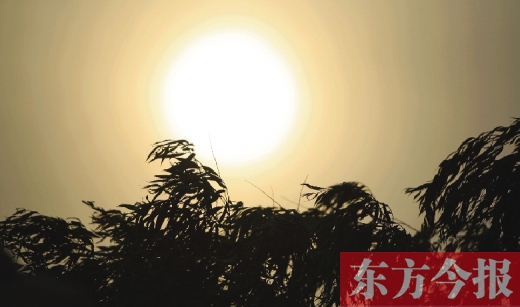 五月十四日，傍晚時(shí)分，鄭州的天空再次被沙塵遮蓋