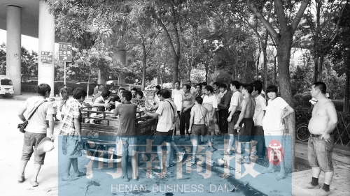 北環(huán)南陽(yáng)路立交橋下，瓜農(nóng)小秦被打后，附近瓜農(nóng)紛紛圍了上來(lái)