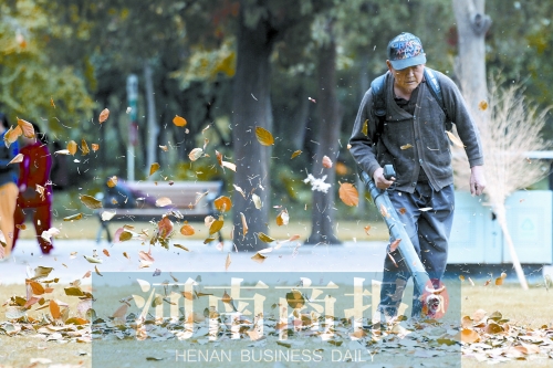 秋風吹過，落葉滿地