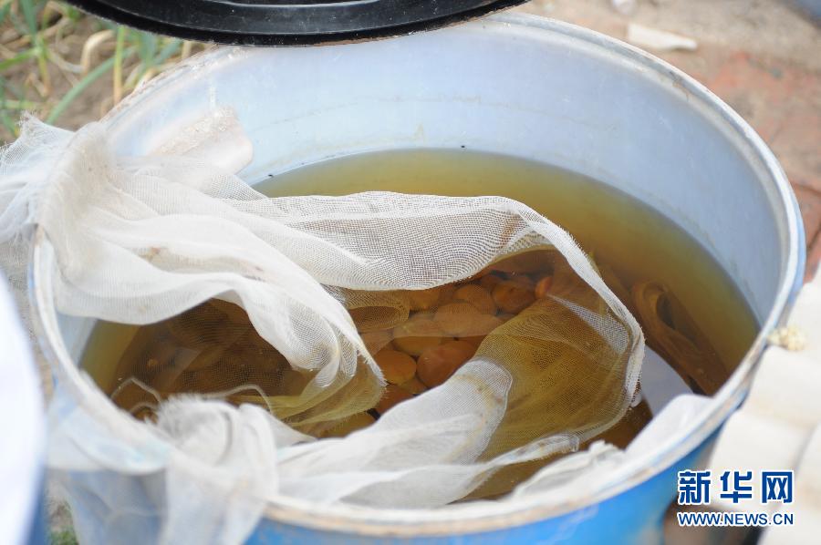 地下水成“綠茶”　污染二十多年該誰治？