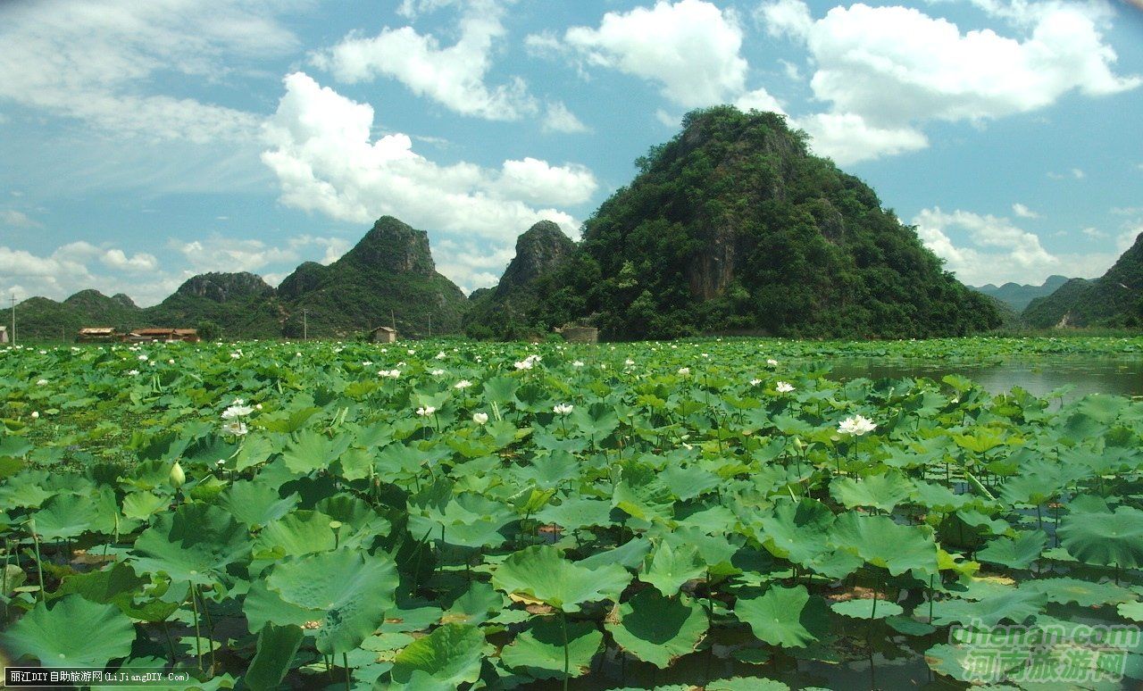 爸爸去哪兒？親密接觸荷花仙子