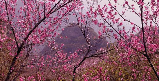 撿垃圾換玫瑰 女人節(jié) 愛在神農(nóng)山！