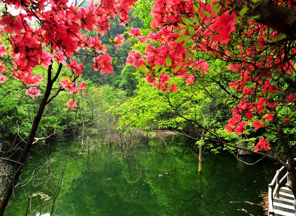 母親節(jié)河南景區(qū)優(yōu)惠大波來襲！