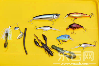 　　又稱擬餌釣魚,起源于歐洲,國內(nèi)翻譯為“路亞”。