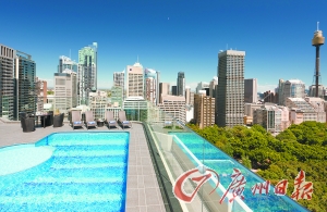 酒店屋頂游泳池俯瞰公園美景。
