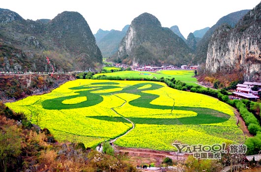 　　貴州油菜花景自以“立體多層,起伏跌宕”的油菜花景觀著稱。(圖片來源:CFP)