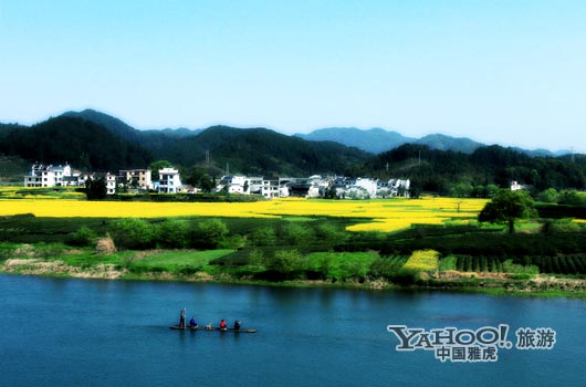 　　婺源號(hào)稱是中國最美麗的鄉(xiāng)村,她最美麗的季節(jié)是三月中下旬。(圖片來源:CFP)