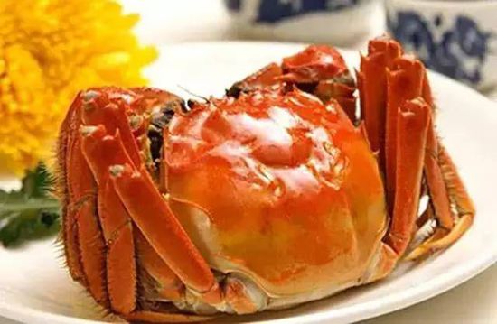 秋季最適合吃的海鮮是這10種 你吃對了嗎？
