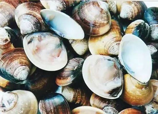 秋季最適合吃的海鮮是這10種 你吃對了嗎？