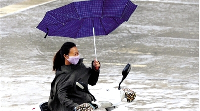 昨日下午，隴海路上，雨中風(fēng)大，一位女士的傘被吹翻了。