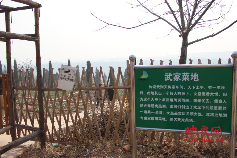 武家菜地就是這，據(jù)說(shuō)里面有個(gè)特大的蘿卜