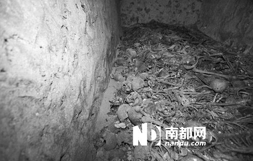 　5月29日，在以色列特拉維夫市雅法地區(qū)，一處集體墳?zāi)贡话l(fā)現(xiàn)。