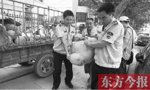 昨日，鄭州金水區(qū)執(zhí)法局的執(zhí)法隊(duì)員捐錢買瓜，替瓜農(nóng)解憂