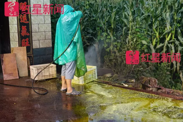 文玩核桃遇冷由幾萬一對降到5元沒人要？商戶否認(rèn)