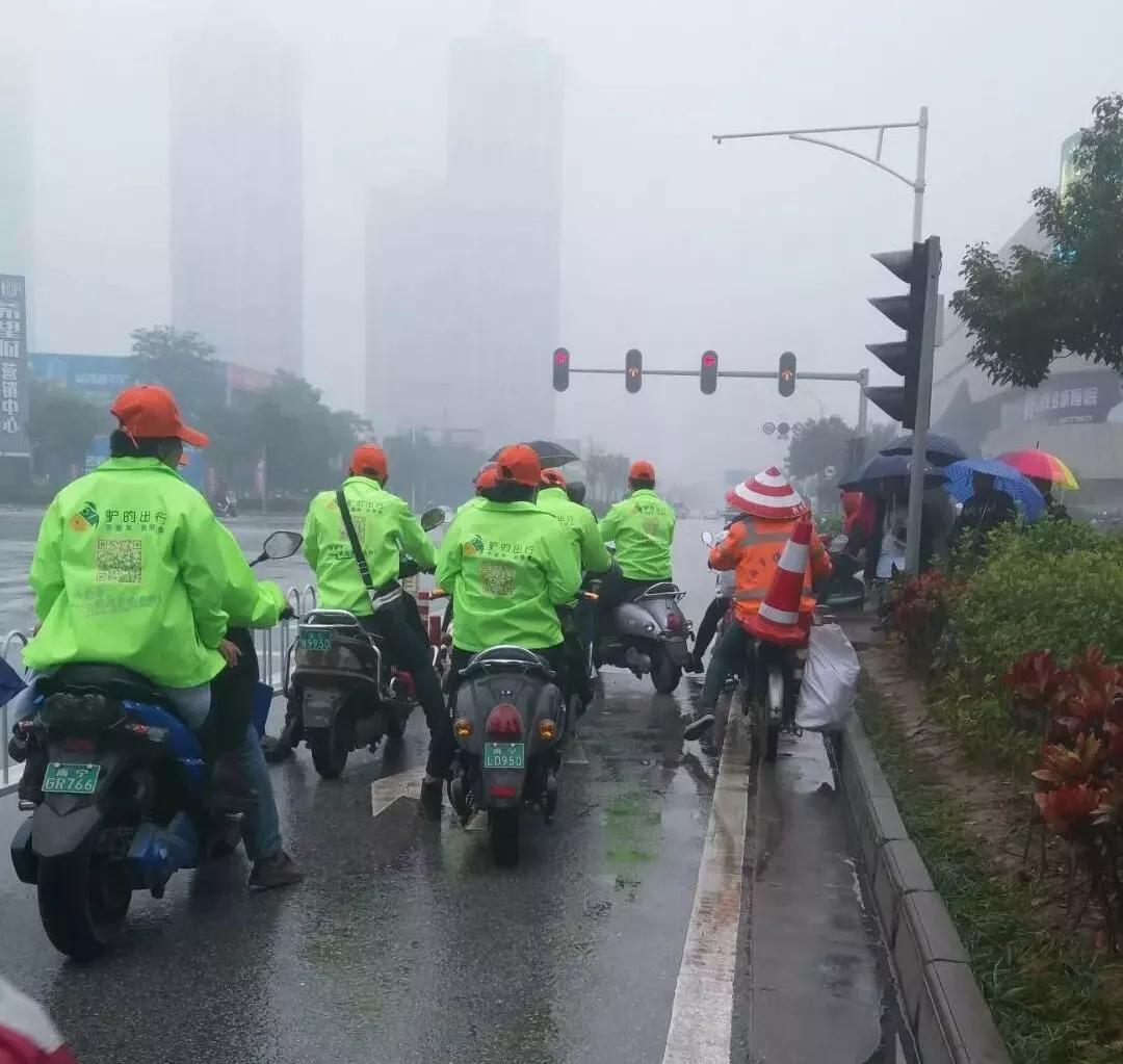 出門打驢？ 南寧“滴滴打驢”被緊急叫停
