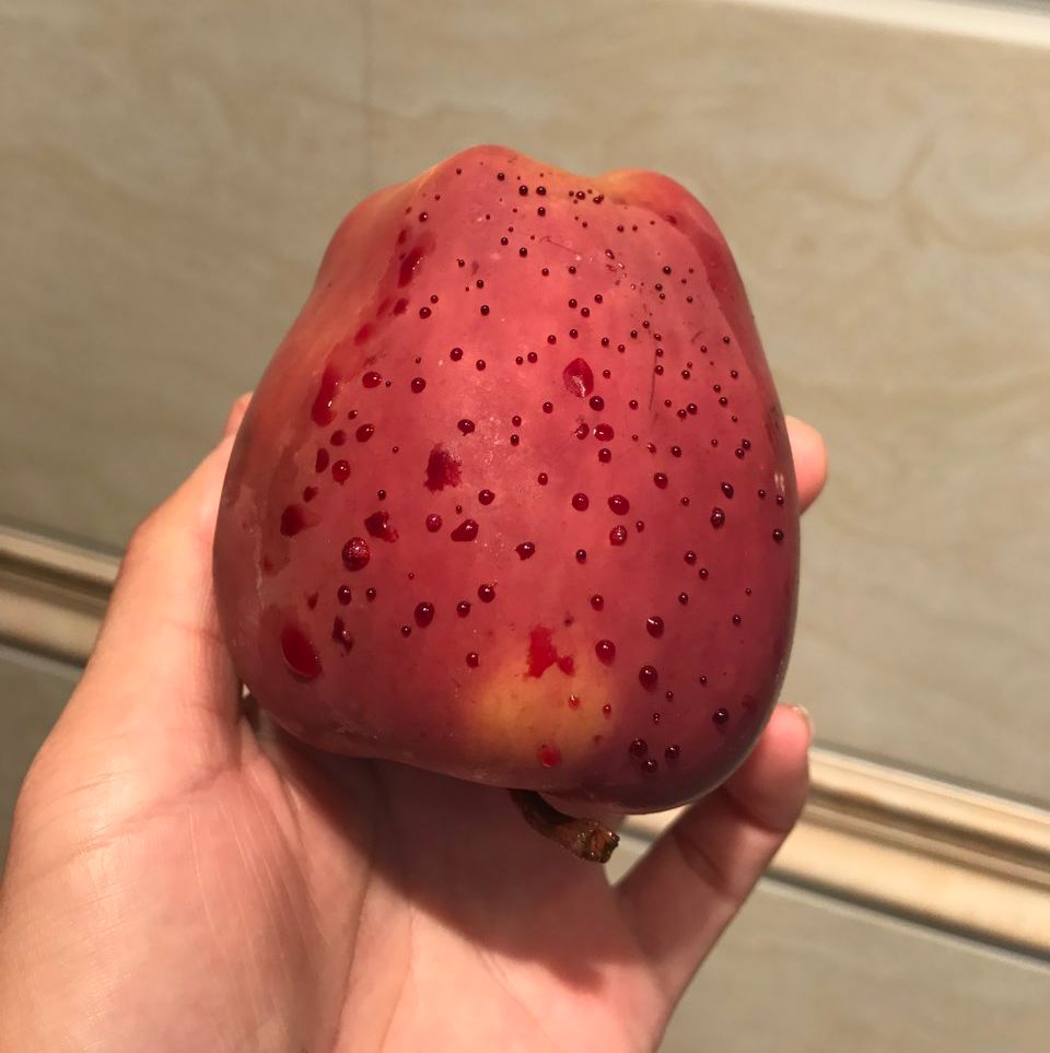 嚇懵！女子用熱水泡蘋果結(jié)果冒出血珠 咋回事？