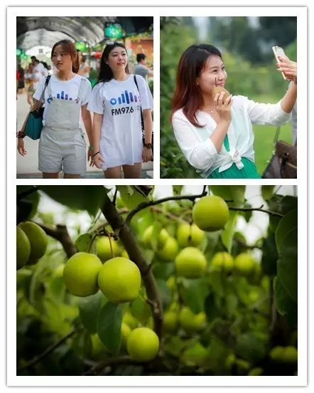 美女與香梨，你更愛哪一個(gè)？！