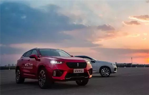 去年“蹦”出來的新汽車品牌們，現(xiàn)在活得怎么樣了？